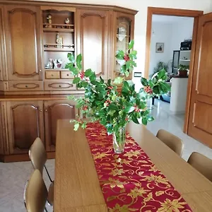L Agrifoglio Di Rita Loddo Italia